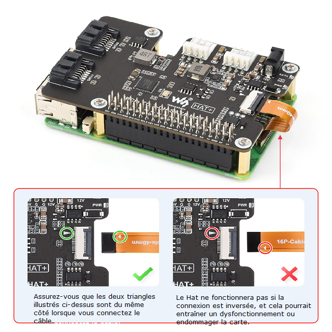 wave-31882-p2f