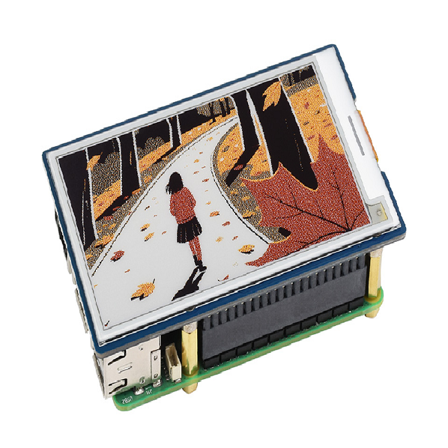 wave-31061-e6