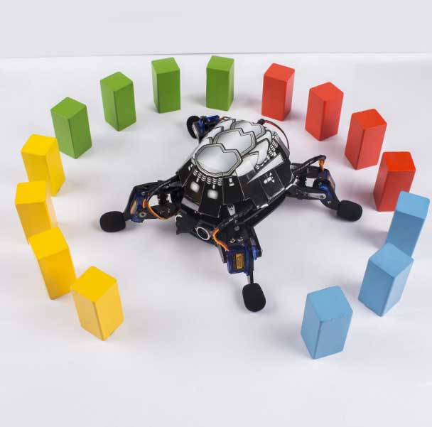 bionic turtle frm study material free download