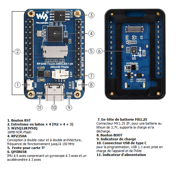 wave-31337